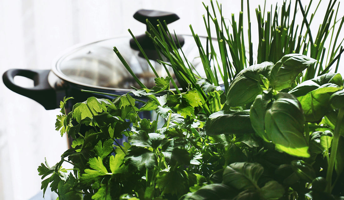 Starting Your First Kitchen Herb Garden: A Beginner’s Guide 🌿