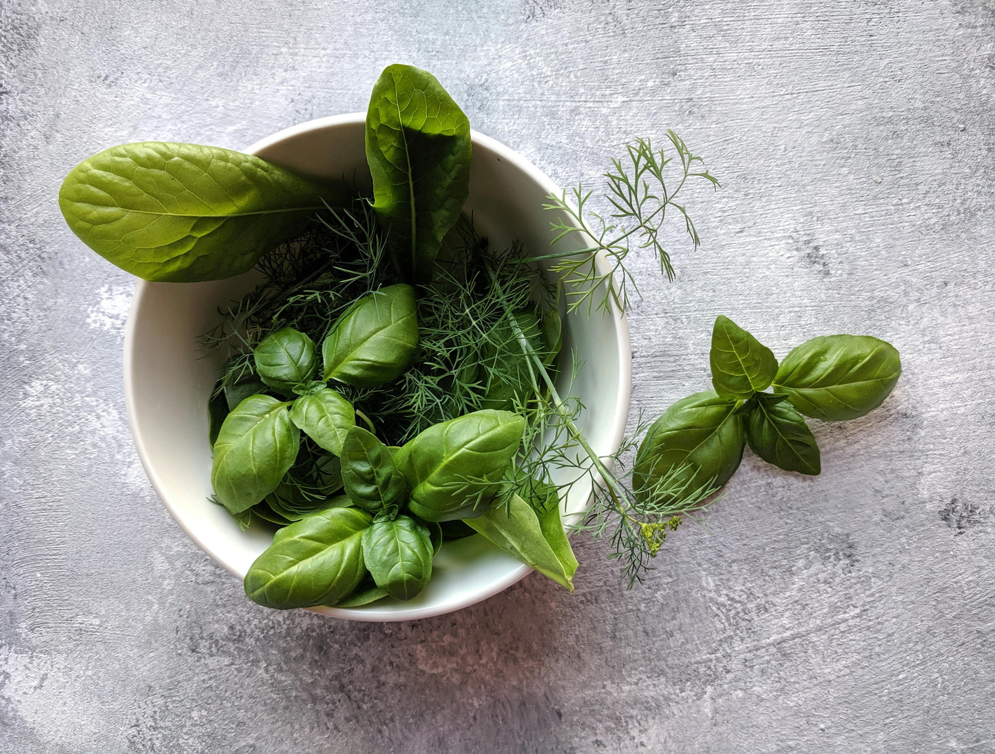 Indoor Herb Garden Setup